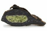 Sliced Olivine Crystal Filled Volcanic Bomb - Spain #301763-1